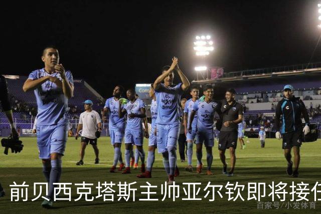 前贝西克塔斯主帅亚尔钦即将接任土耳其国家队教鞭
