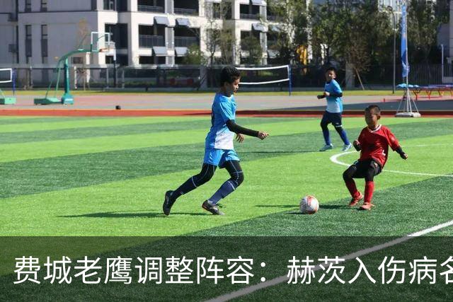 费城老鹰调整阵容：赫茨入伤病名单，布鲁加入球队
